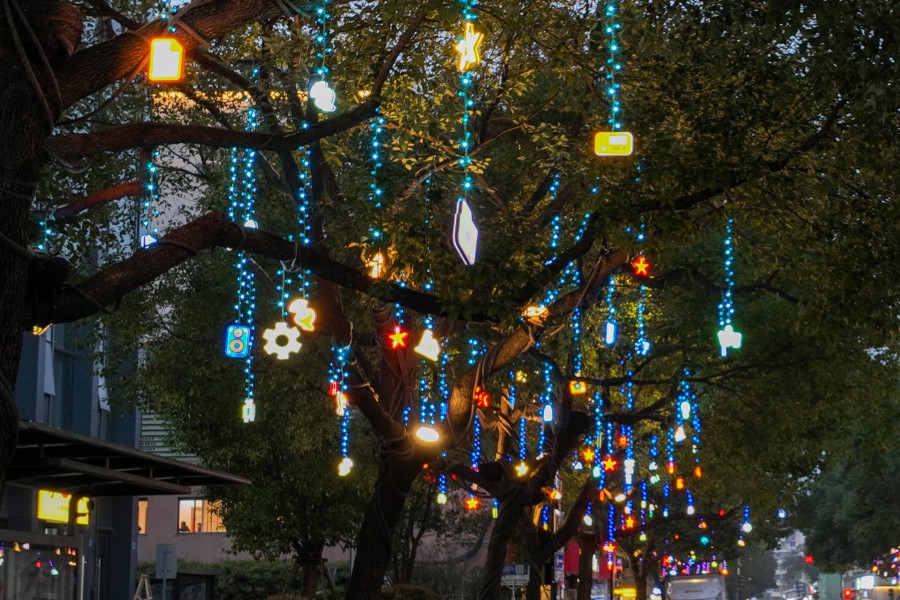 1730943495107730667F.jpg 671.jpg